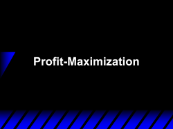 Profit-Maximization