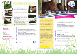 Worm Counts for Yards Brochure