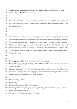 Analysis of triceps surae muscle strength, Achilles tendon stiffness