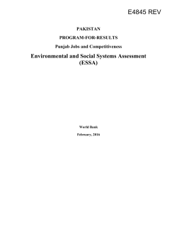 docx - World bank documents