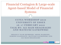 CDS Markets and Financial Contagion