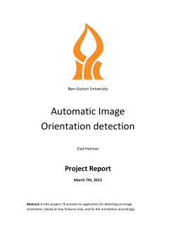 Project Report March 7th, 2013