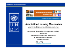 Adaptation Learning Mechanism
