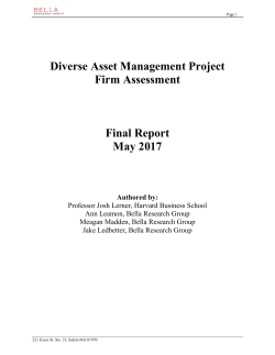 Diverse Asset Management Project Firm Assessment Final Report