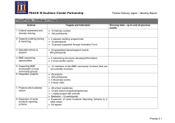 Southern Peace III Partnership - Partner Delivery Agent