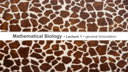 Mathematical Biology - Lecture 1 - general