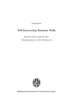 Self-Interacting Random Walk - Mathematisch Instituut Leiden