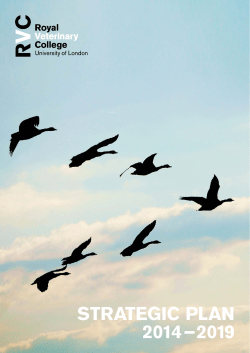 strategic plan 2014&ndash;2019 - Royal Veterinary College