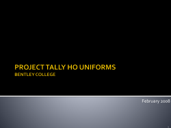 heuristic evaluation: global issues