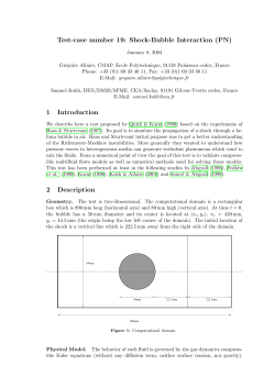 Test-case number 19: Shock-Bubble Interaction (PN) 1 Introduction