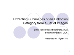 Extracting Subimages of an Unknown Category from a Set of Images