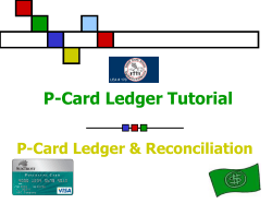P-Card Ledger Tutorial 2015-2016