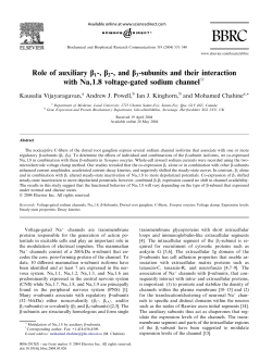 Role of auxiliary b1-, b2-, and b3-subunits and their
