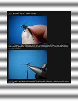 CreekSide Bamboo Fly Rod