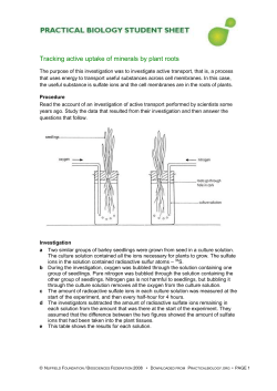Tracking active uptake of minerals by plant roots