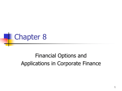 Options, PowerPoint Show