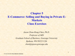 Chapter 3 Effects of IT on Strategy and Competition