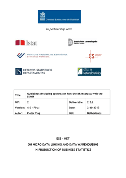 DWH-SGA2-WP2 - 2.2.2 Guidelines (including options)