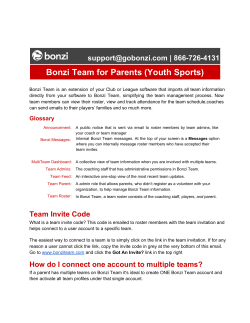 Bonzi Team Overview