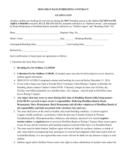 guapo gato 2017 contract