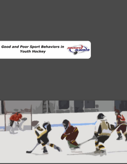 Good and Poor Sport Behaviors in Youth Hockey