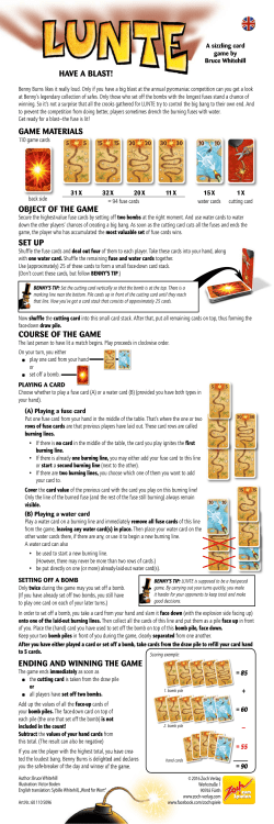 have a blast! game materials object of the game set up