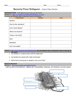 Bacteria Webquest