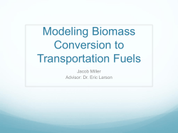 Modeling Biomass Conversion to Transportation Fuels