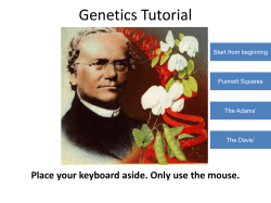 Genetics Tutorial File