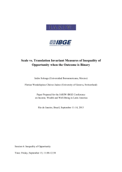 Scale vs. Translation Invariant Measures of Inequality of