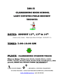 The Game of Field Hockey&hellip;