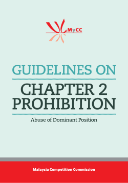Guidelines on Abuse of Dominant Position