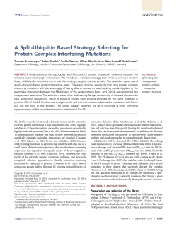 A Split-Ubiquitin Based Strategy Selecting for Protein Complex