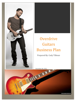 Overdrive Guitars Business Plan