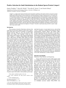 Positive Selection for Indel Substitutions in the Rodent Sperm