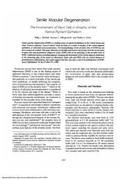 Senile macular degeneration. The involvement of giant cells