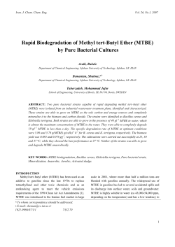 Rapid Biodegradation of Methyl tert