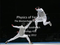 Physics of Fencing