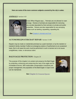 rv permits - City of Cape Coral