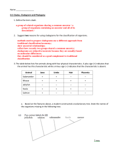 Ciick here for answer key