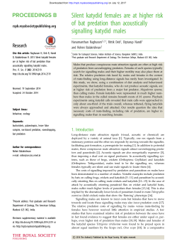 Silent katydid females are at higher risk of bat predation than