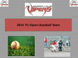 2014_7U_Vipers_Baseball_Team