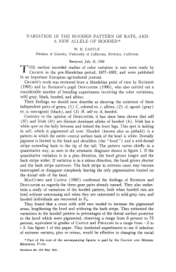 a new allele of hooded* doncaster