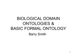 simple bio top - Buffalo Ontology Site