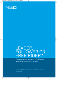 leader, follower or free rider?
