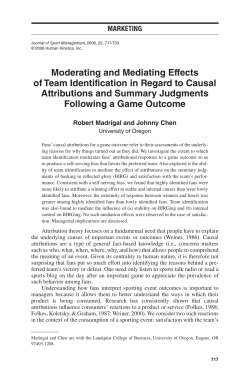 Moderating and Mediating Effects of Team Identification in Regard to