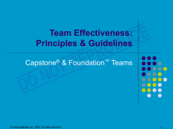 Team Effectiveness: Principles and Guidelines