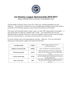 Ice Hockey League Sponsorship 2016-2017