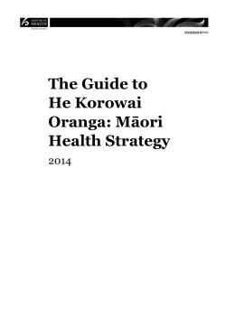 The Guide to He Korowai Oranga: M*ori Health Strategy