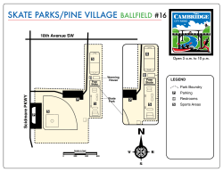 SKATE PARKS/PINE VILLAGE BALLFIELD